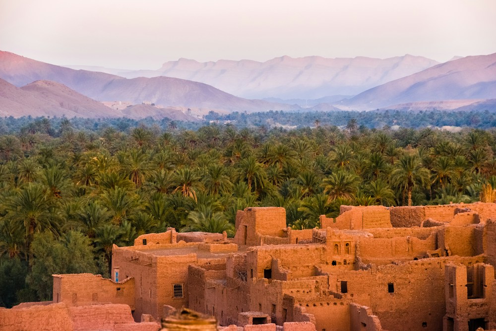 Palmeraie, architecture en terre et montagnes du Maroc